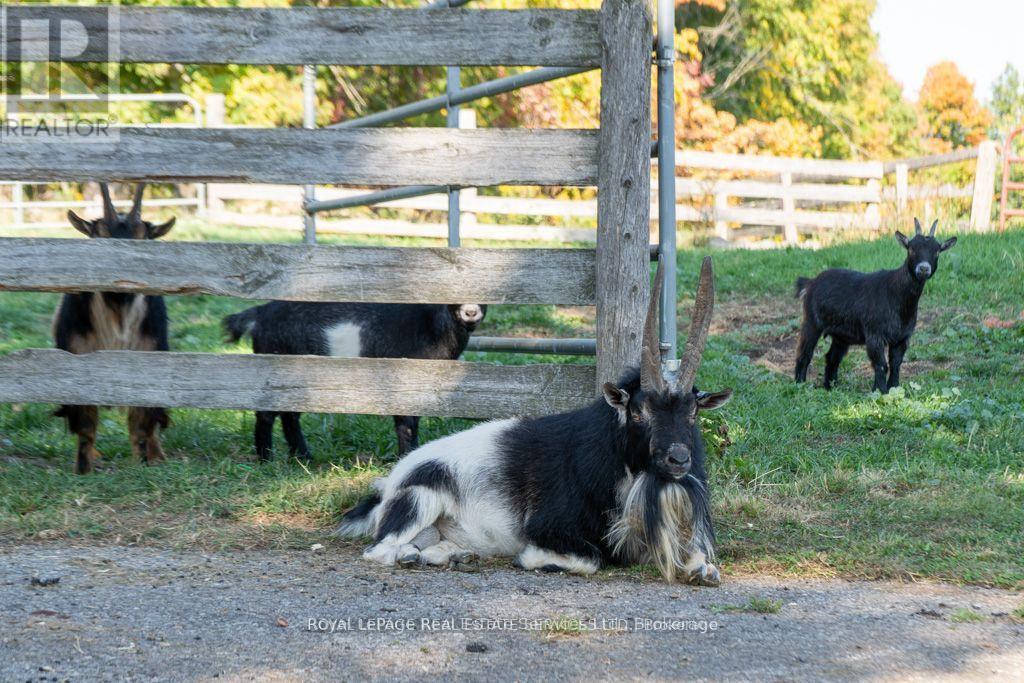 9630 Wellington Road 42, Erin, Ontario  L7G 4S8 - Photo 12 - X12336689