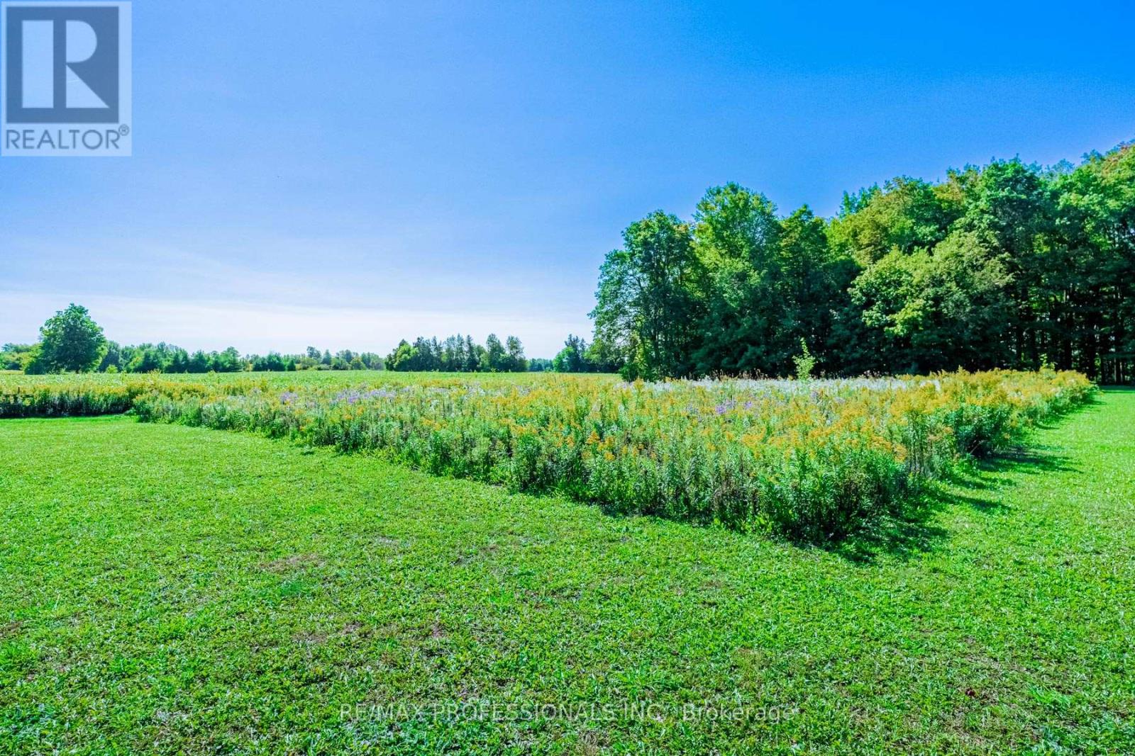 13908 Trafalgar Road, Halton Hills (Rural Halton Hills), Ontario  L7G 4S4 - Photo 23 - W12436214