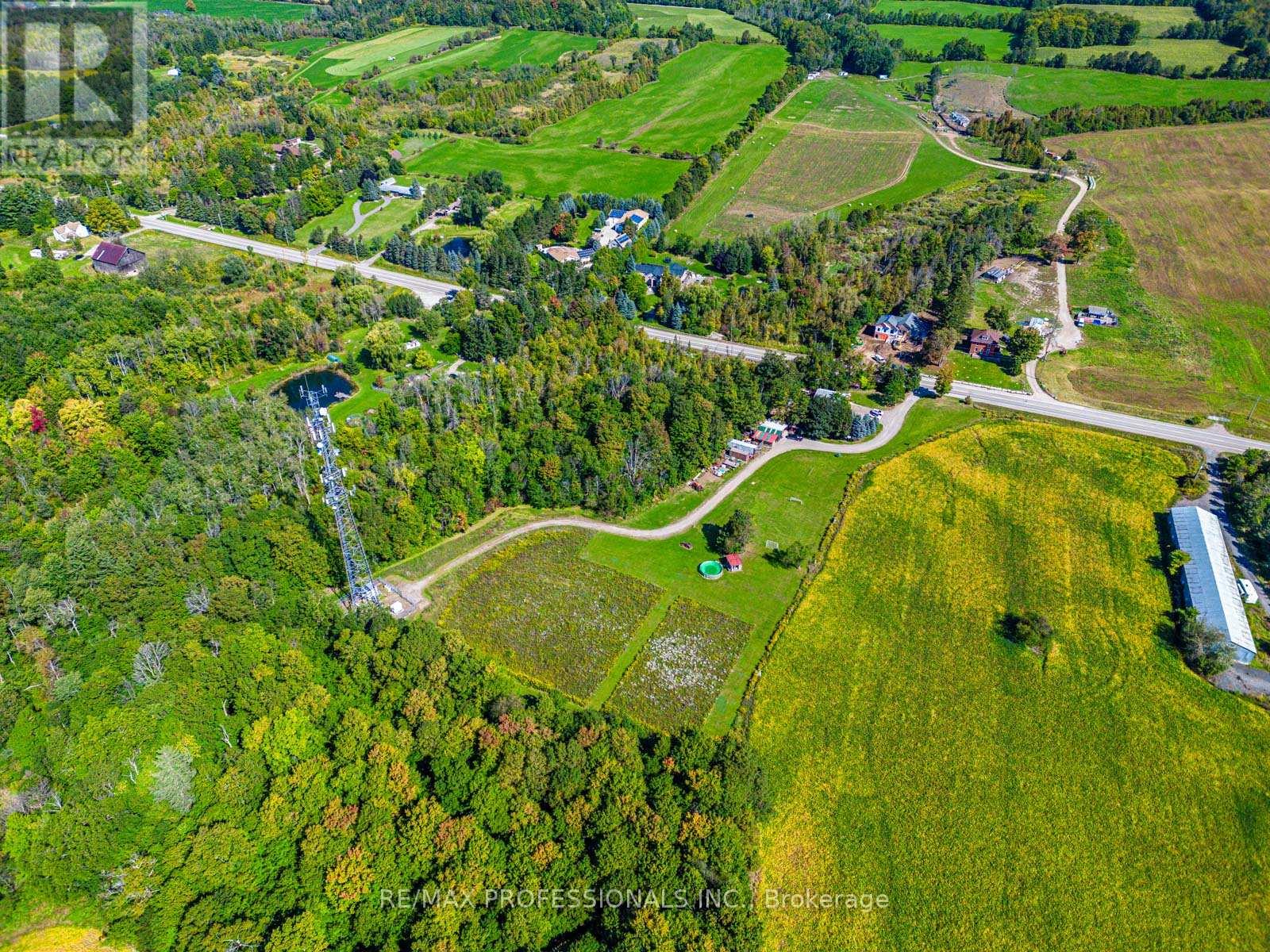 13908 Trafalgar Road, Halton Hills (Rural Halton Hills), Ontario  L7G 4S4 - Photo 5 - W12436214