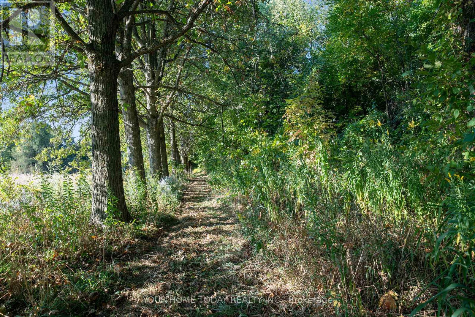 12609 Fifth Line, Halton Hills (Rural Halton Hills), Ontario  L0P 1H0 - Photo 42 - W12469128