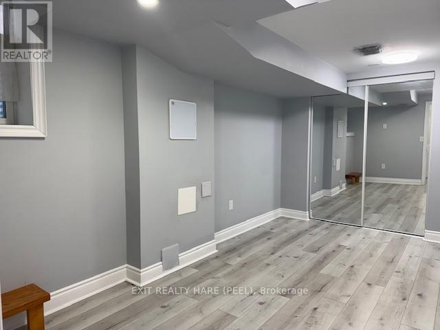 Basement - 31 Meadowlark Drive, Halton Hills (Georgetown), Ontario  L7G 6N2 - Photo 11 - W12469133