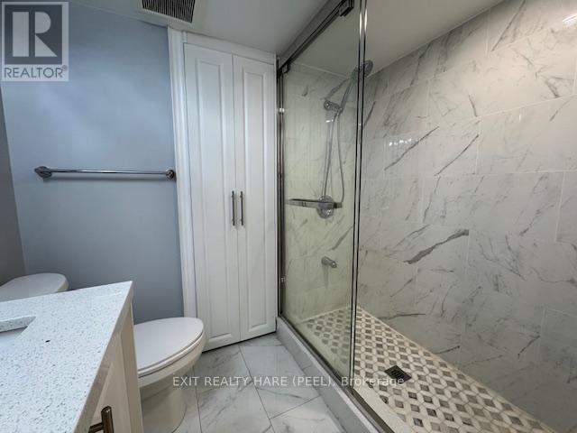 Basement - 31 Meadowlark Drive, Halton Hills (Georgetown), Ontario  L7G 6N2 - Photo 16 - W12469133