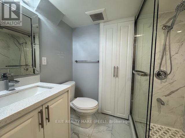 Basement - 31 Meadowlark Drive, Halton Hills (Georgetown), Ontario  L7G 6N2 - Photo 17 - W12469133