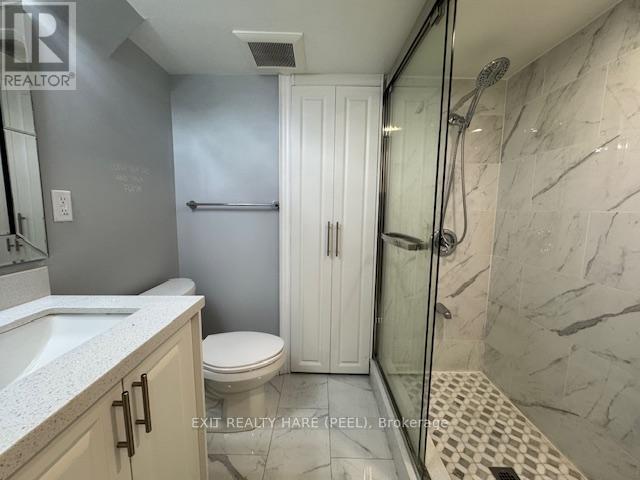 Basement - 31 Meadowlark Drive, Halton Hills (Georgetown), Ontario  L7G 6N2 - Photo 18 - W12469133