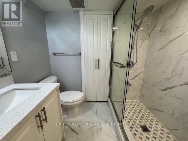 Basement - 31 Meadowlark Drive, Halton Hills (Georgetown), Ontario  L7G 6N2 - Photo 19 - W12469133