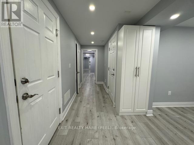 Basement - 31 Meadowlark Drive, Halton Hills (Georgetown), Ontario  L7G 6N2 - Photo 5 - W12469133