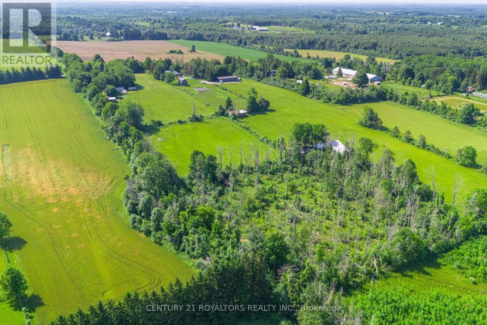 529 Campbellville Road, Hamilton, Ontario  L0P 1B0 - Photo 49 - X12470155