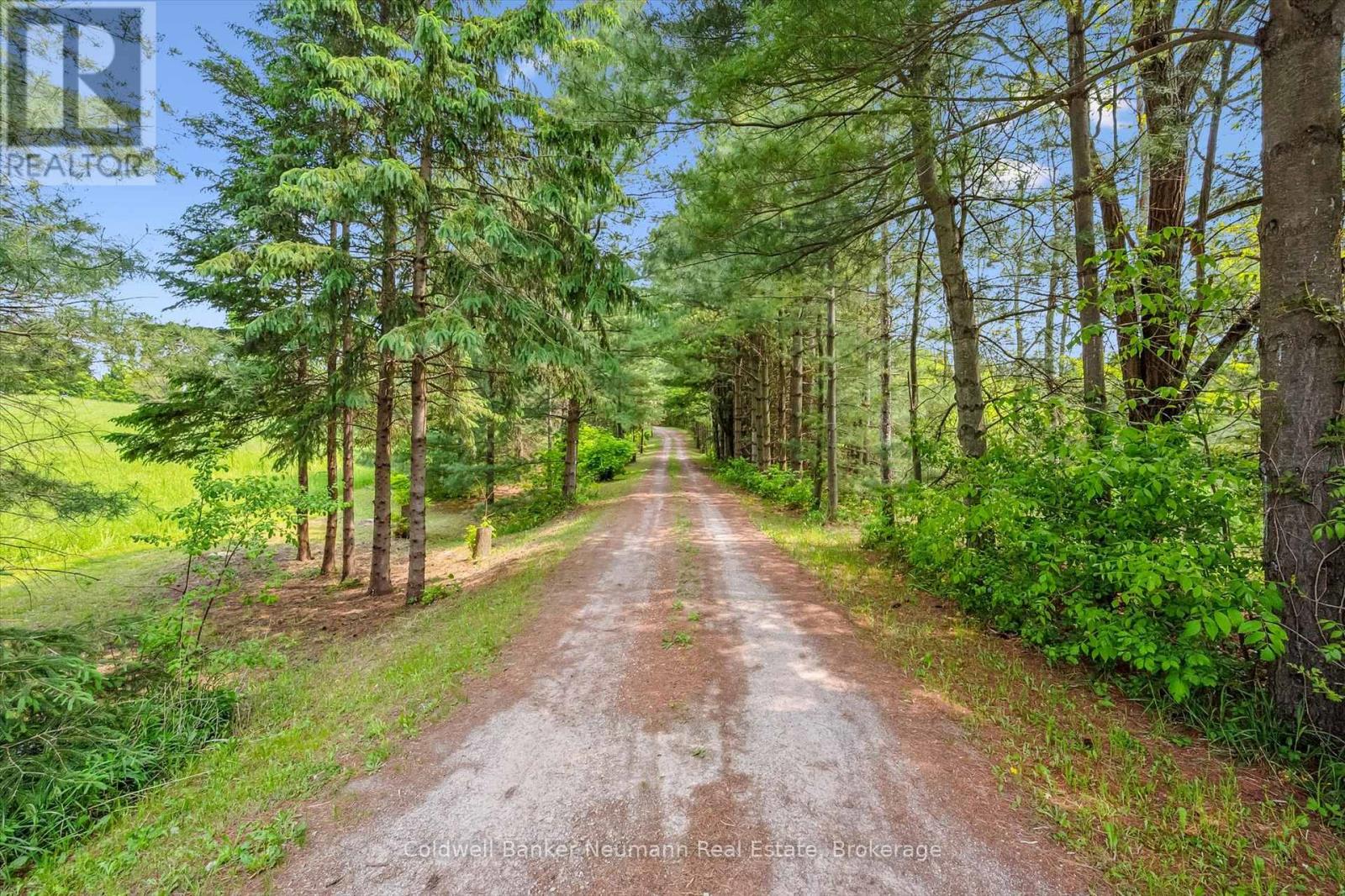 13085 Nassagaweya Puslinch Townline, Milton, Ontario  L0P 1J0 - Photo 3 - W12473942