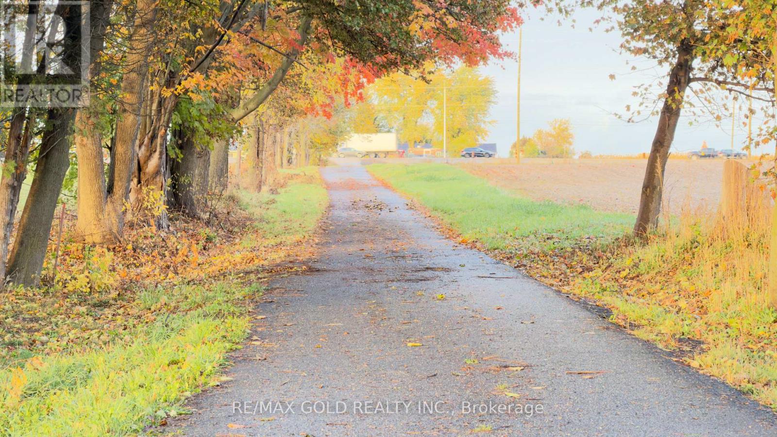 8790 Trafalgar Road, Halton Hills (Rural Halton Hills), Ontario  L7G 4S5 - Photo 4 - W12478331