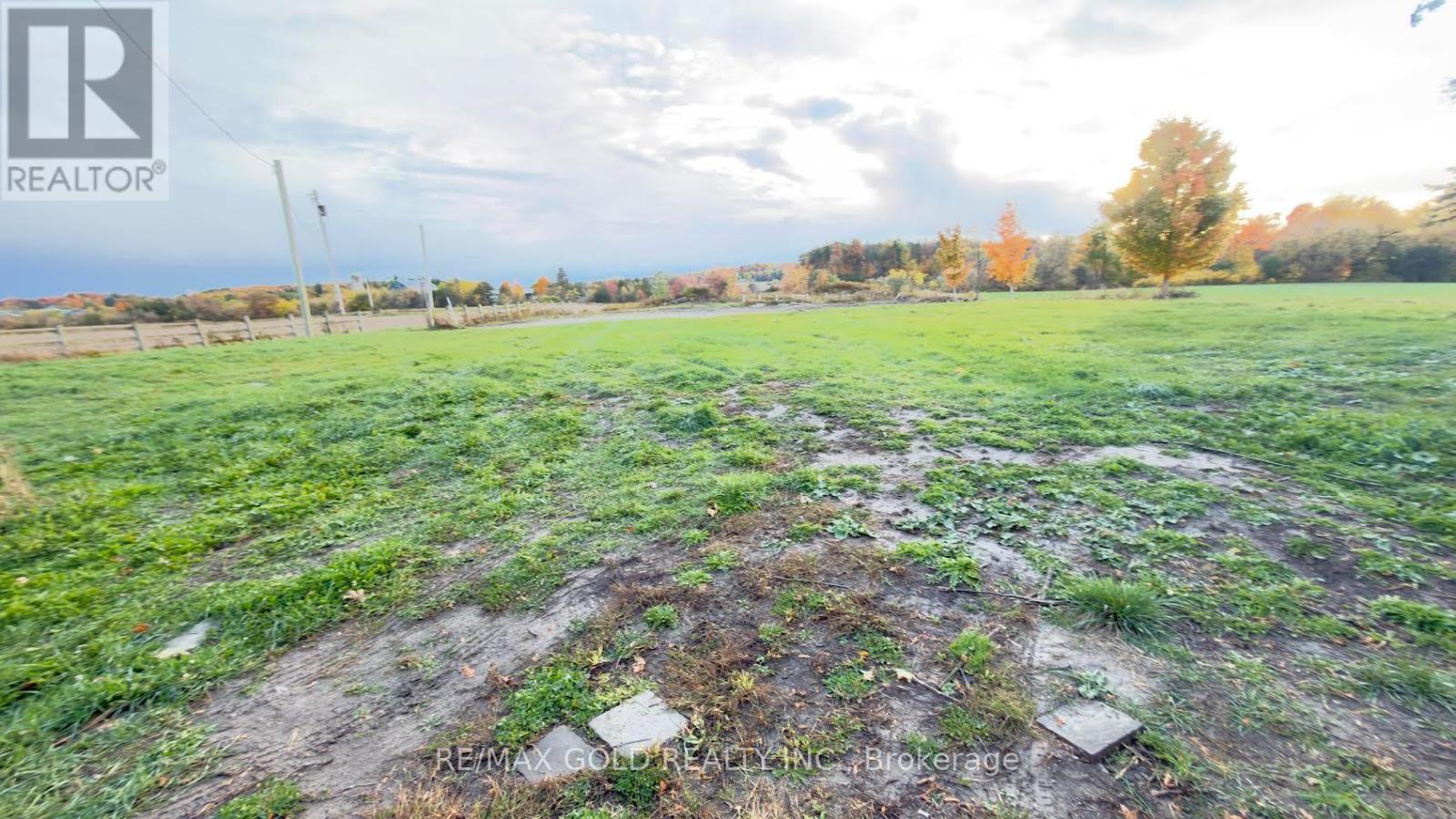 8790 Trafalgar Road, Halton Hills (Rural Halton Hills), Ontario  L7G 4S5 - Photo 5 - W12478331