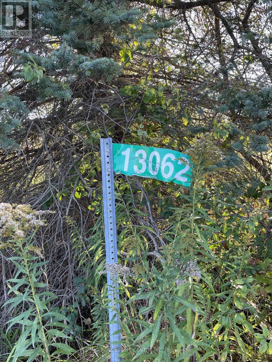 13062 Nassagaweya Esquesi Townline, Milton (Na Rural Nassagaweya), Ontario  L7J 2W8 - Photo 8 - W12491412