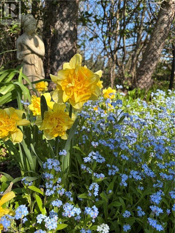 139 Campbell Avenue W, Campbellville, Ontario  L0P 1B0 - Photo 31 - 40793603