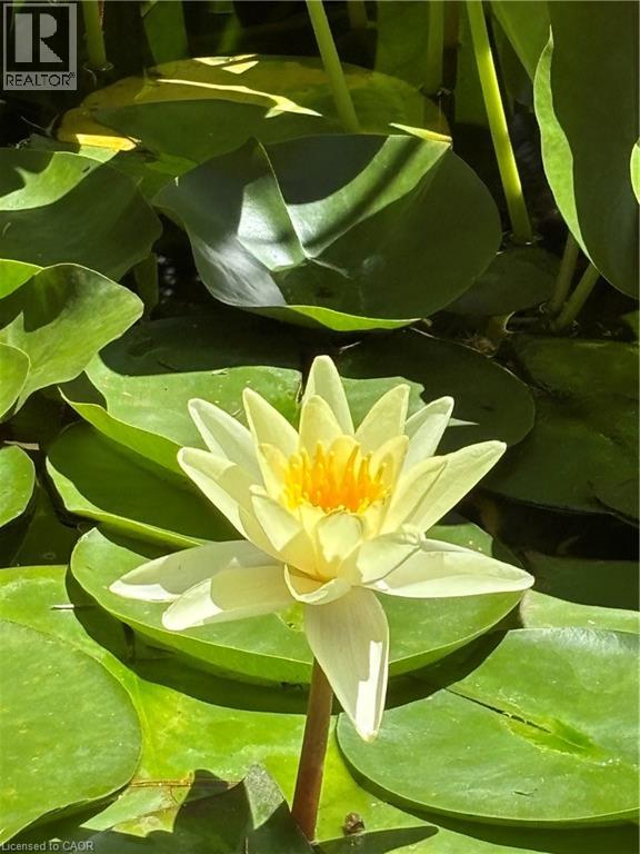 139 Campbell Avenue W, Campbellville, Ontario  L0P 1B0 - Photo 42 - 40793603