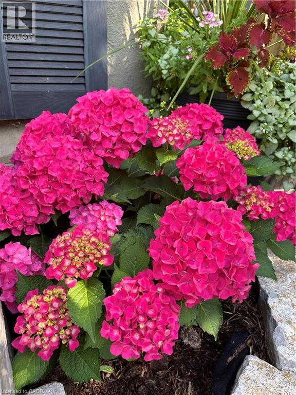 139 Campbell Avenue W, Campbellville, Ontario  L0P 1B0 - Photo 44 - 40793603