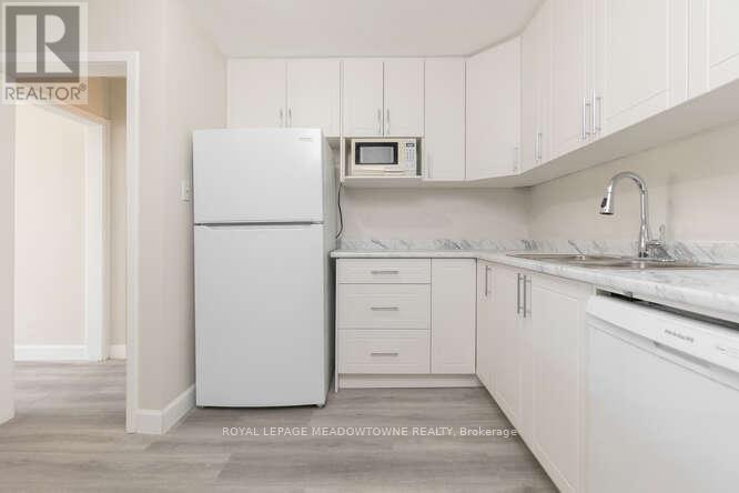 3 - 84 Mill Street, Halton Hills (Georgetown), Ontario  L7G 2C9 - Photo 3 - W12629414