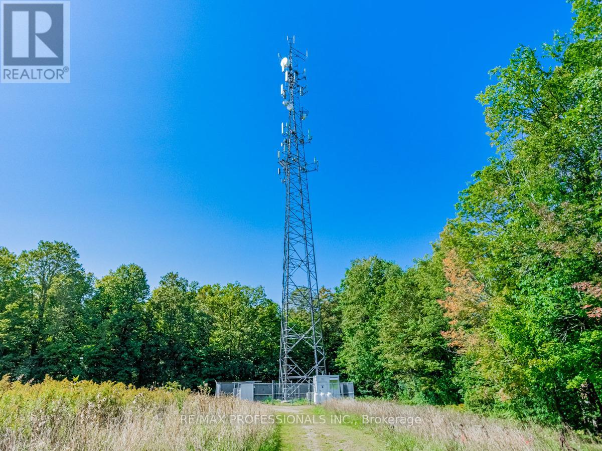 13908 Trafalgar Road, Halton Hills (Rural Halton Hills), Ontario  L7G 4S4 - Photo 16 - W12654820