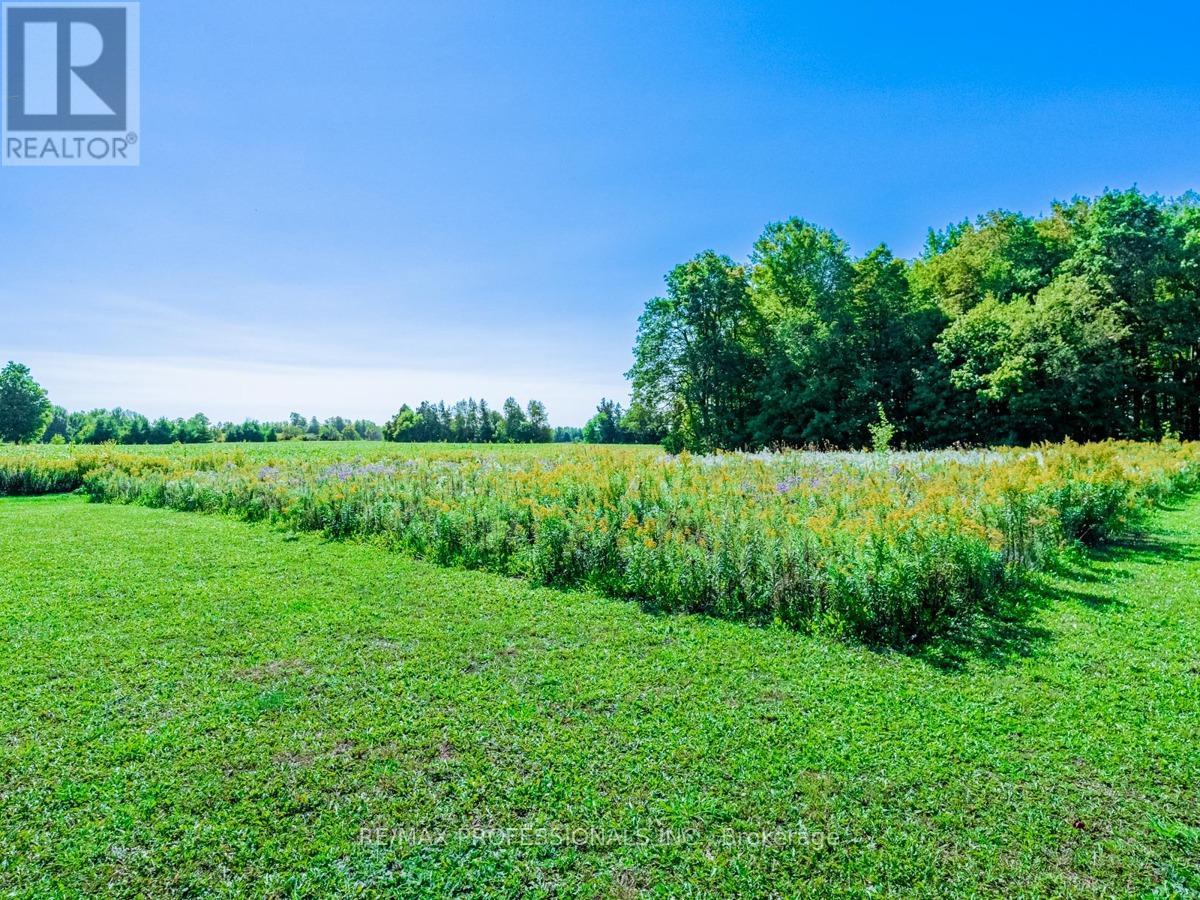 13908 Trafalgar Road, Halton Hills (Rural Halton Hills), Ontario  L7G 4S4 - Photo 21 - W12654820