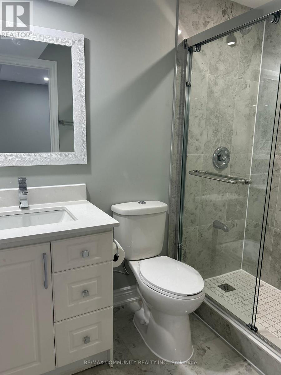 Basement - 70 Rosewell Crescent, Halton Hills (Georgetown), Ontario  L7G 0N4 - Photo 7 - W12665290