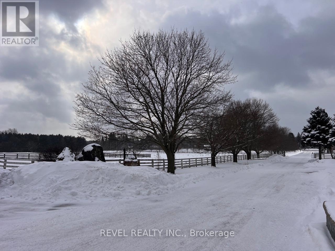 10207 Guelph Line, Milton (Campbellville), Ontario  L0P 1B0 - Photo 7 - W12722286