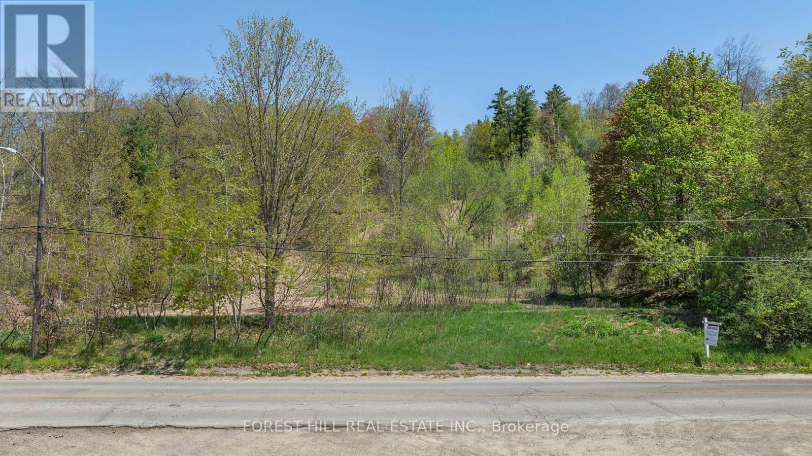 22 Main Street N, Halton Hills (Glen Williams), Ontario  L7G 3G8 - Photo 6 - W12731320