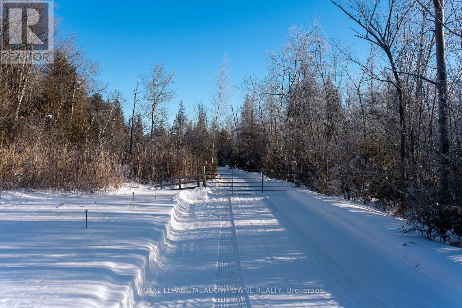 14165 Trafalgar Road, Halton Hills (Rural Halton Hills), Ontario  L7G 4S4 - Photo 19 - W12766210