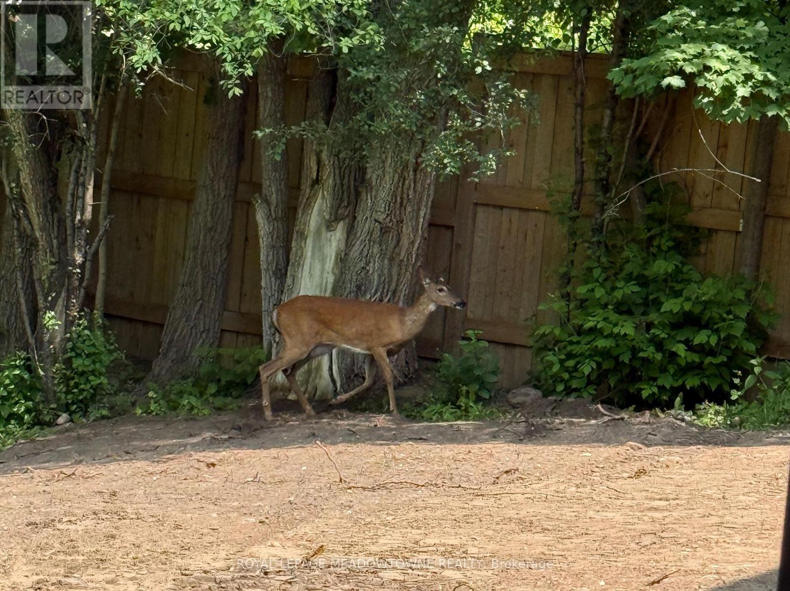 70 River Drive, Halton Hills (Georgetown), Ontario  L7G 2J2 - Photo 47 - W12791336