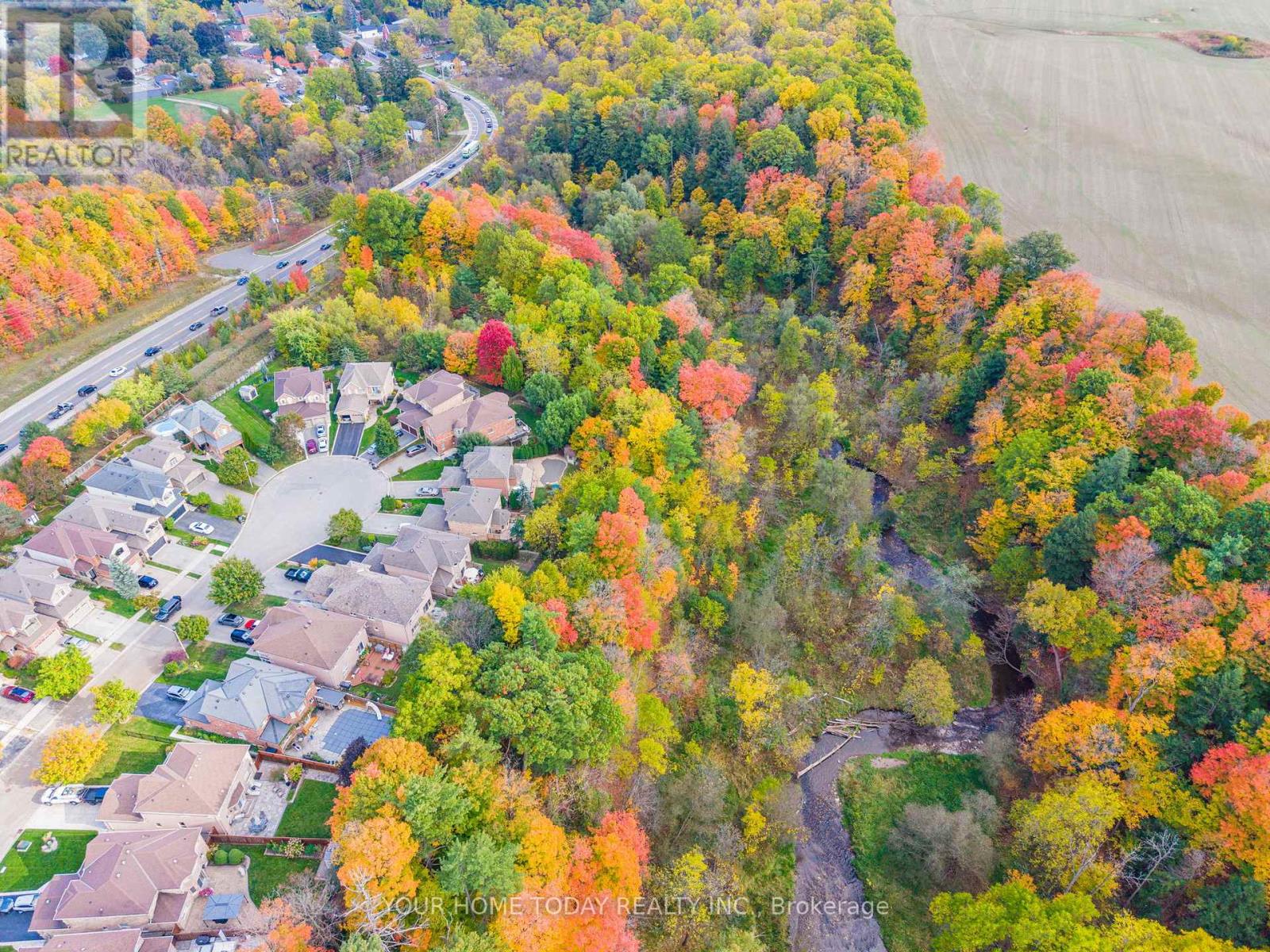 114 Russell Street, Halton Hills (Georgetown), Ontario  L7G 5Z1 - Photo 45 - W12792950