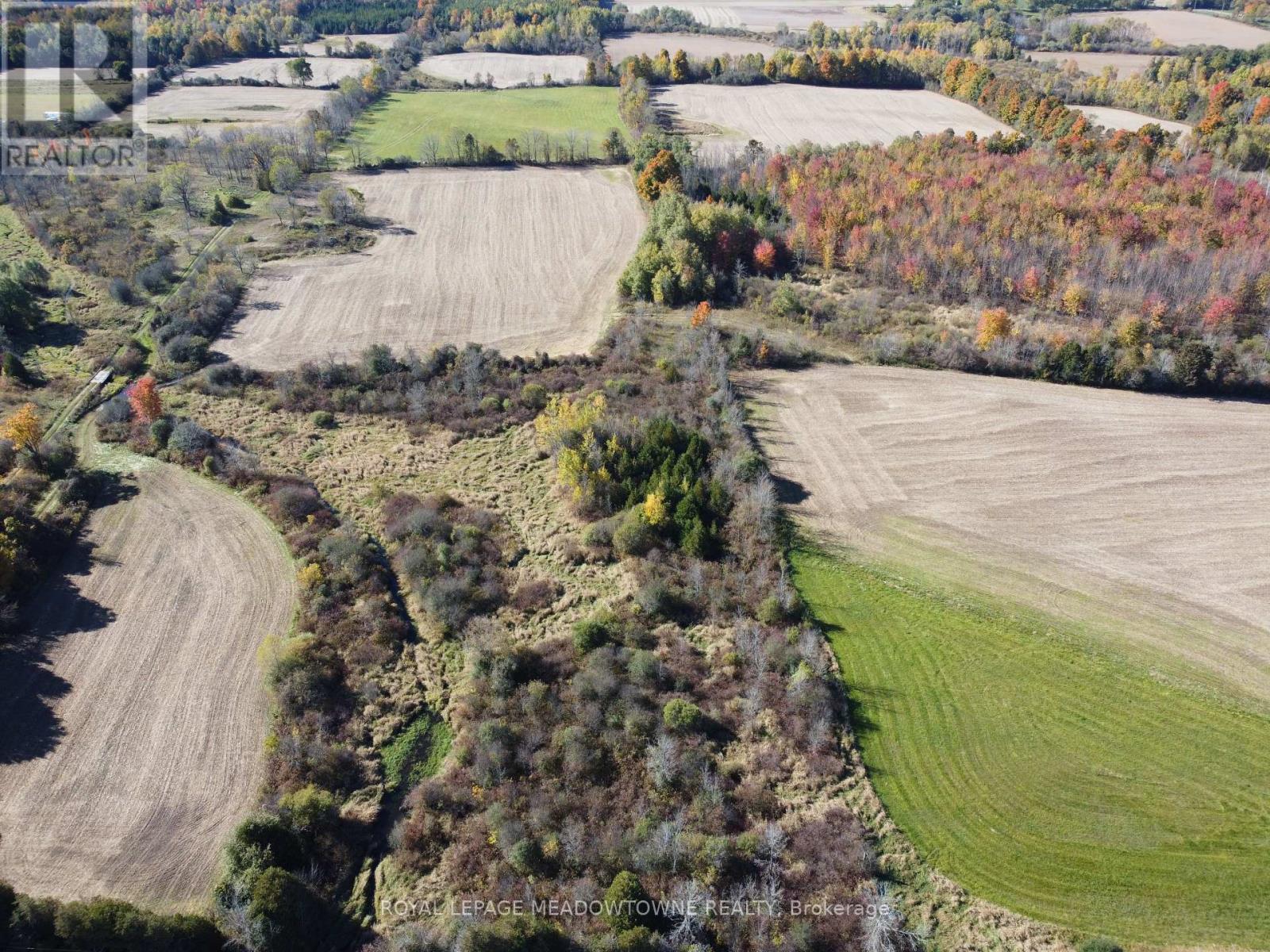 11080 First Line Nassagaweya, Milton (Moffat), Ontario  L0P 1J0 - Photo 12 - W12808222