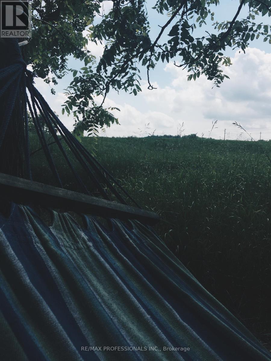 14070 Dublin Line, Halton Hills (Rural Halton Hills), Ontario  L7J 2L9 - Photo 11 - W12813896