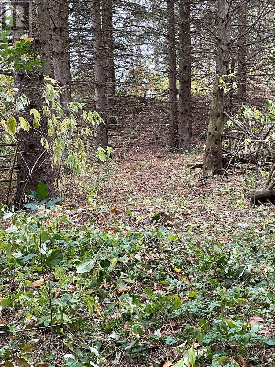 14070 Dublin Line, Halton Hills (Rural Halton Hills), Ontario  L7J 2L9 - Photo 21 - W12813896