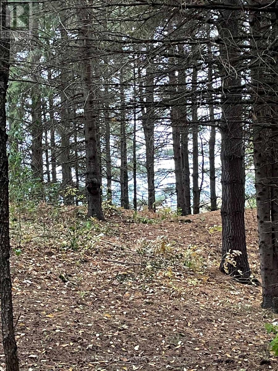 14070 Dublin Line, Halton Hills (Rural Halton Hills), Ontario  L7J 2L9 - Photo 22 - W12813896