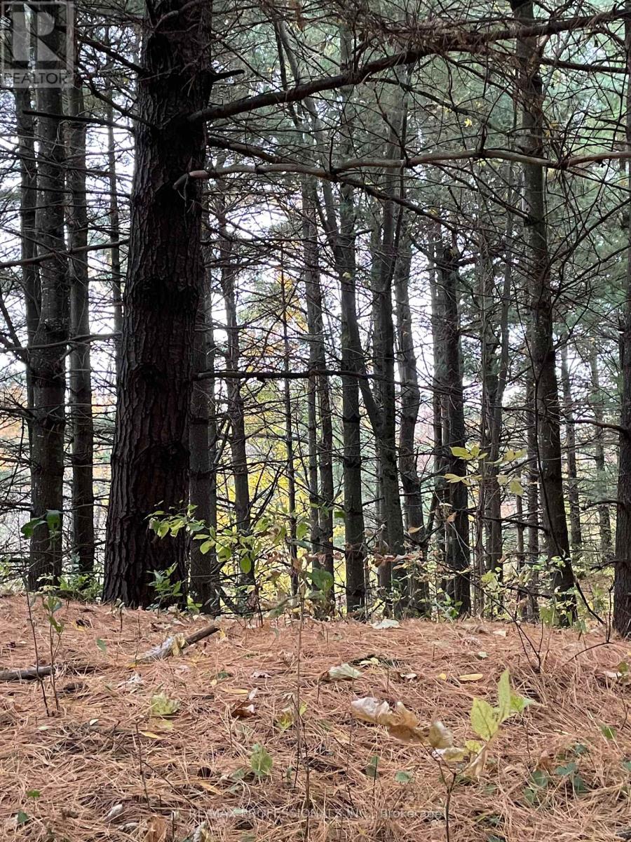 14070 Dublin Line, Halton Hills (Rural Halton Hills), Ontario  L7J 2L9 - Photo 23 - W12813896