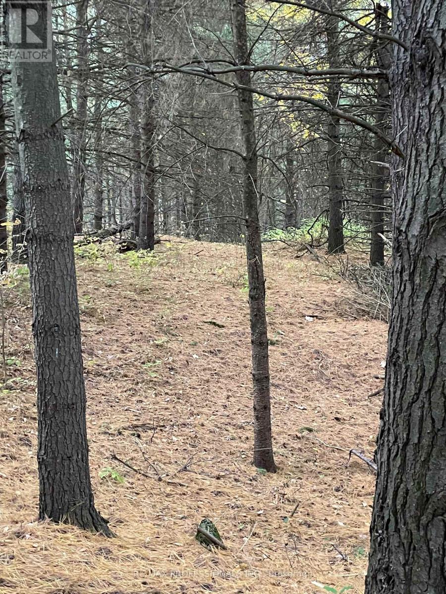 14070 Dublin Line, Halton Hills (Rural Halton Hills), Ontario  L7J 2L9 - Photo 24 - W12813896