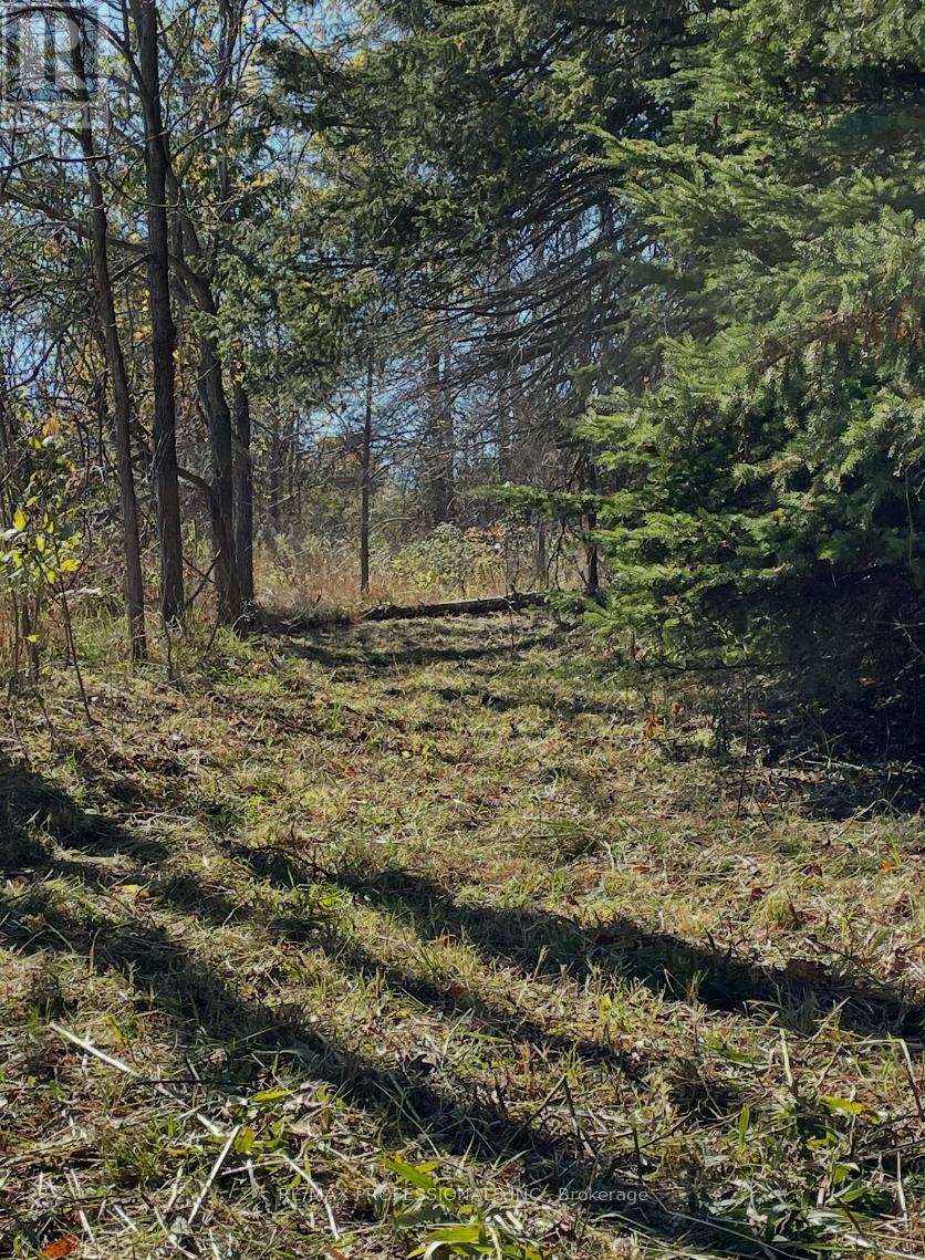 14070 Dublin Line, Halton Hills (Rural Halton Hills), Ontario  L7J 2L9 - Photo 25 - W12813896