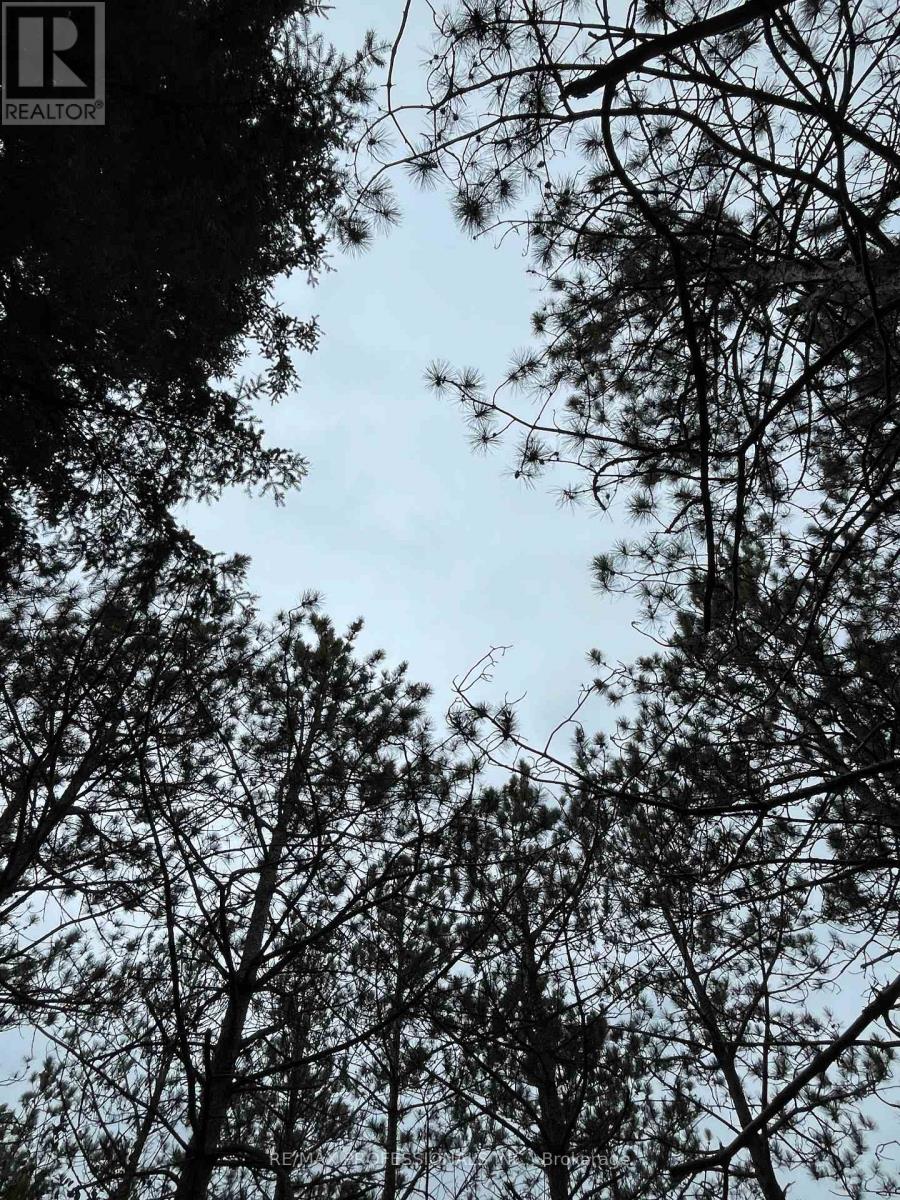 14070 Dublin Line, Halton Hills (Rural Halton Hills), Ontario  L7J 2L9 - Photo 26 - W12813896