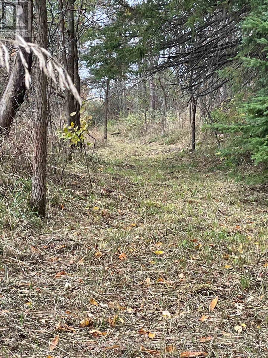 14070 Dublin Line, Halton Hills (Rural Halton Hills), Ontario  L7J 2L9 - Photo 28 - W12813896