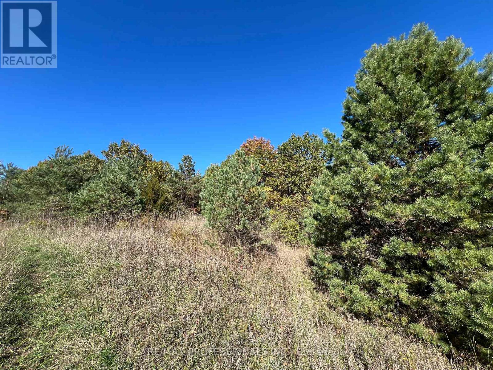 14070 Dublin Line, Halton Hills (Rural Halton Hills), Ontario  L7J 2L9 - Photo 6 - W12813896