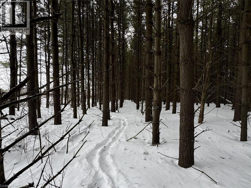 0 Mountsberg Road, Hamilton, Ontario  L0P 1B0 - Photo 10 - 40807551