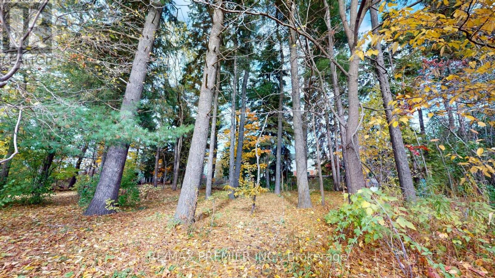 9190 Trafalgar Road, Halton Hills (Rural Halton Hills), Ontario  L7G 4S5 - Photo 32 - W12840390