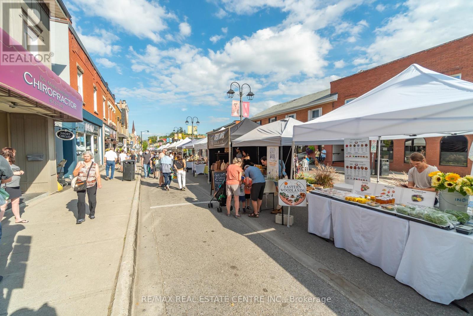 19 James Street, Halton Hills (Georgetown), Ontario  L7G 2H2 - Photo 44 - W12843236