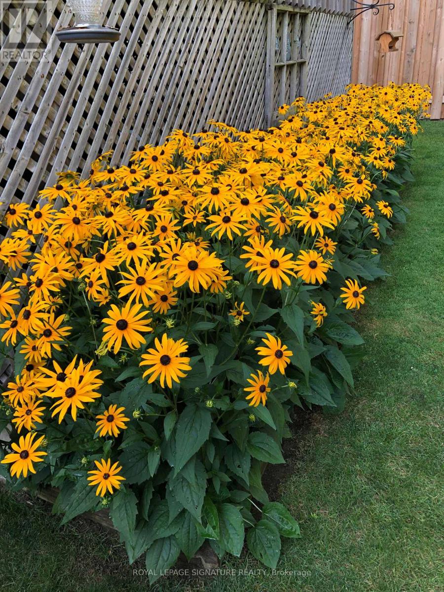 18 Webster Way, Halton Hills (Georgetown), Ontario  L7G 5J7 - Photo 47 - W12870858