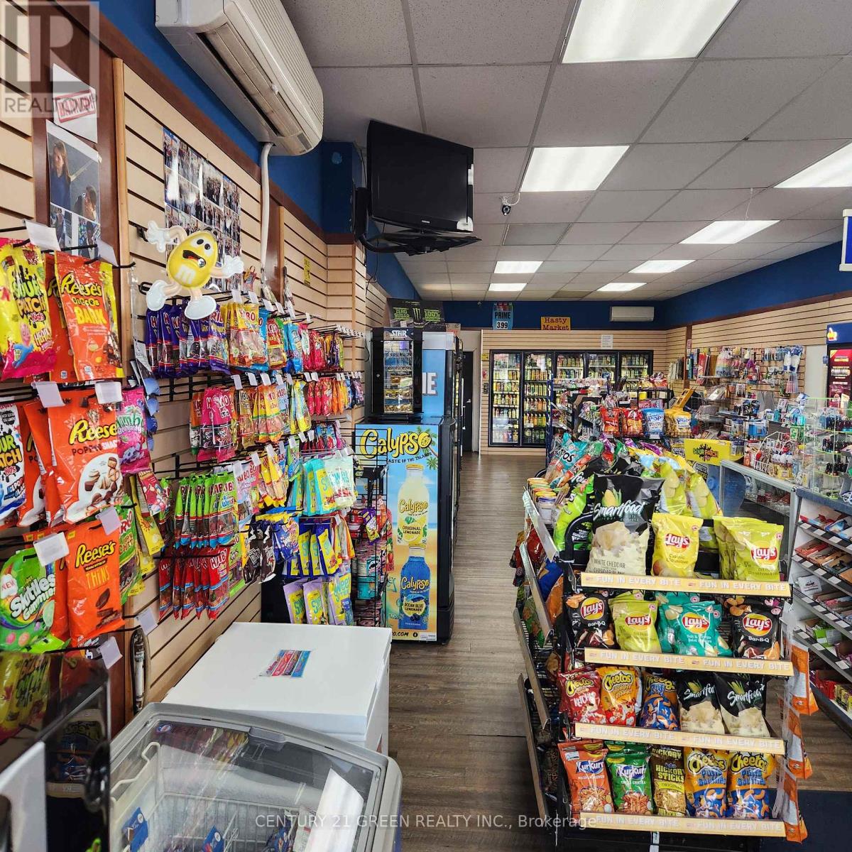 3 - 136 Guelph Street, Halton Hills (Georgetown), Ontario  L7G 4A5 - Photo 10 - W12878582