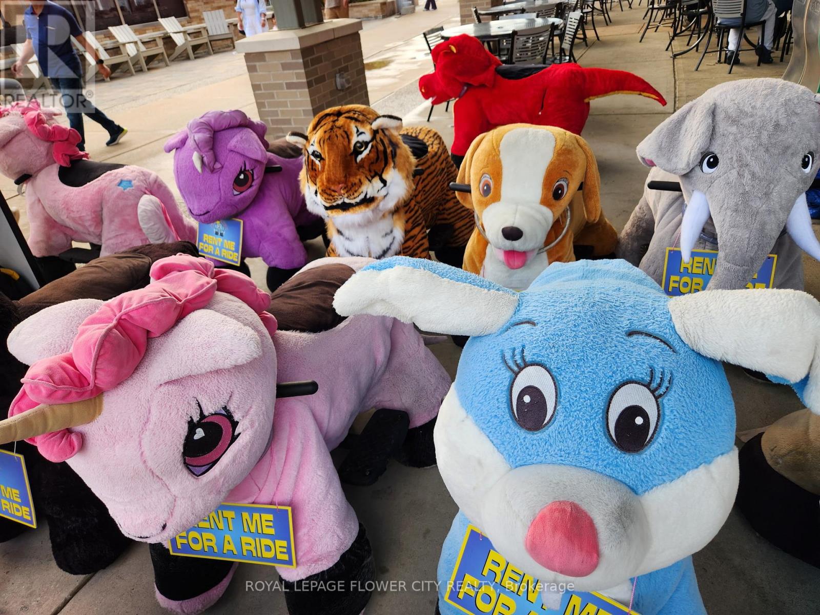 Tt35 - 13850 Steeles Avenue W, Halton Hills (Rural Halton Hills), Ontario  L7G 0J1 - Photo 15 - W12894744