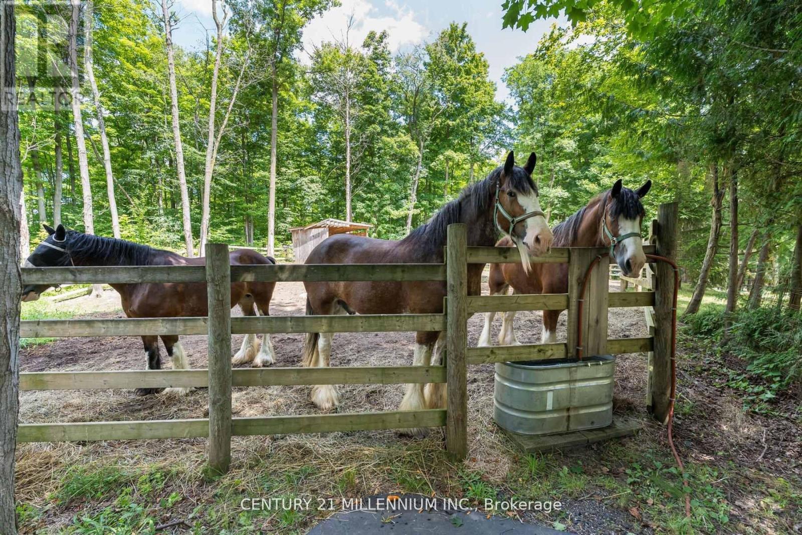 11646 Dublin Line, Halton Hills (Rural Halton Hills), Ontario  L7J 2M1 - Photo 41 - W12910712