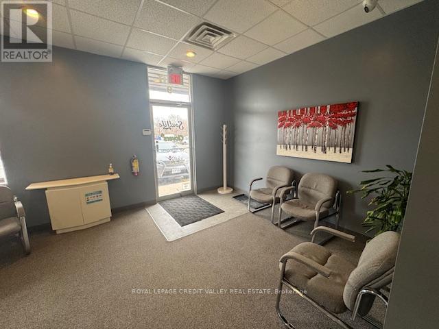 9 - 330 Guelph Street, Halton Hills (Georgetown), Ontario  L7G 4B5 - Photo 16 - W12920658