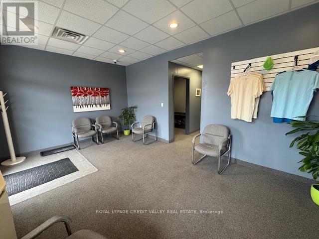 9 - 330 Guelph Street, Halton Hills (Georgetown), Ontario  L7G 4B5 - Photo 17 - W12920658