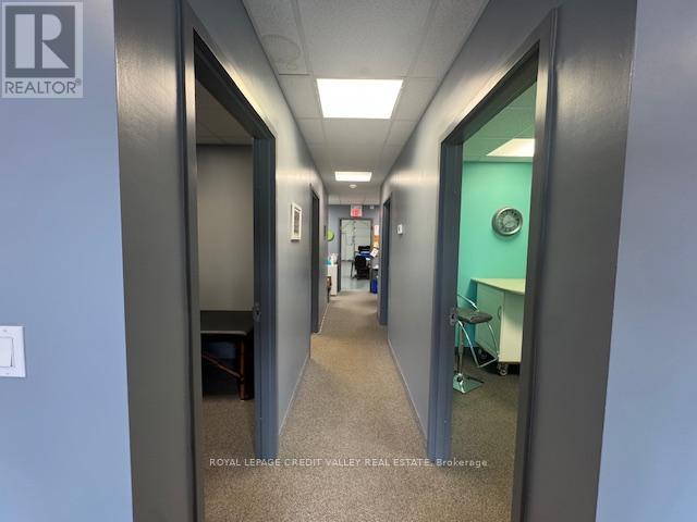 9 - 330 Guelph Street, Halton Hills (Georgetown), Ontario  L7G 4B5 - Photo 19 - W12920658