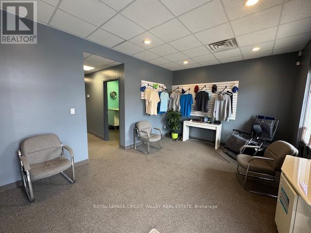 9 - 330 Guelph Street, Halton Hills (Georgetown), Ontario  L7G 4B5 - Photo 9 - W12920658