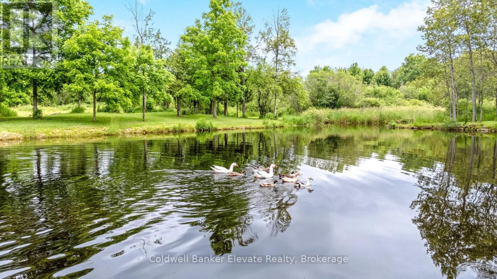 11425 Second Line Nassagaweya, Milton, Ontario  L0P 1B0 - Photo 47 - W12927692