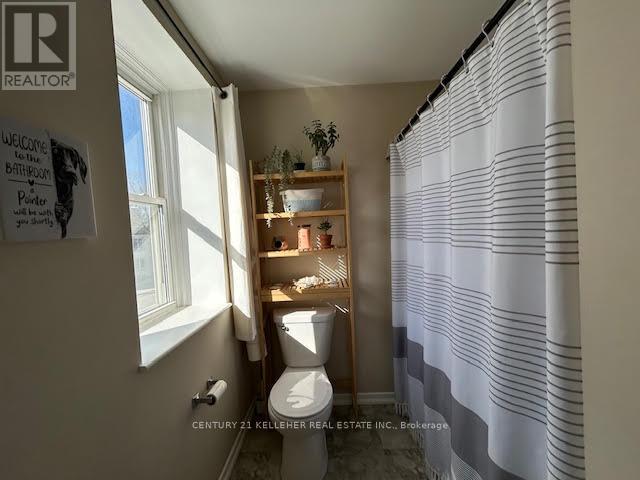 45 King Street, Halton Hills (Georgetown), Ontario  L7G 2G3 - Photo 9 - W12931670